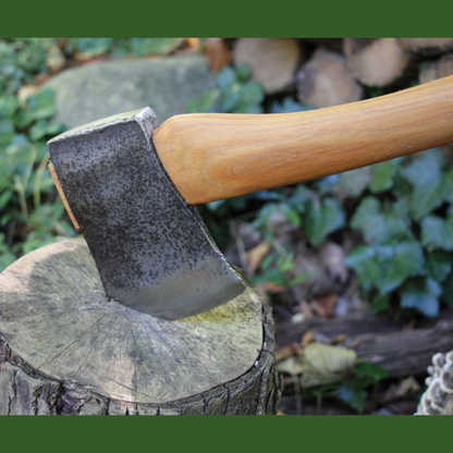 Axe #431