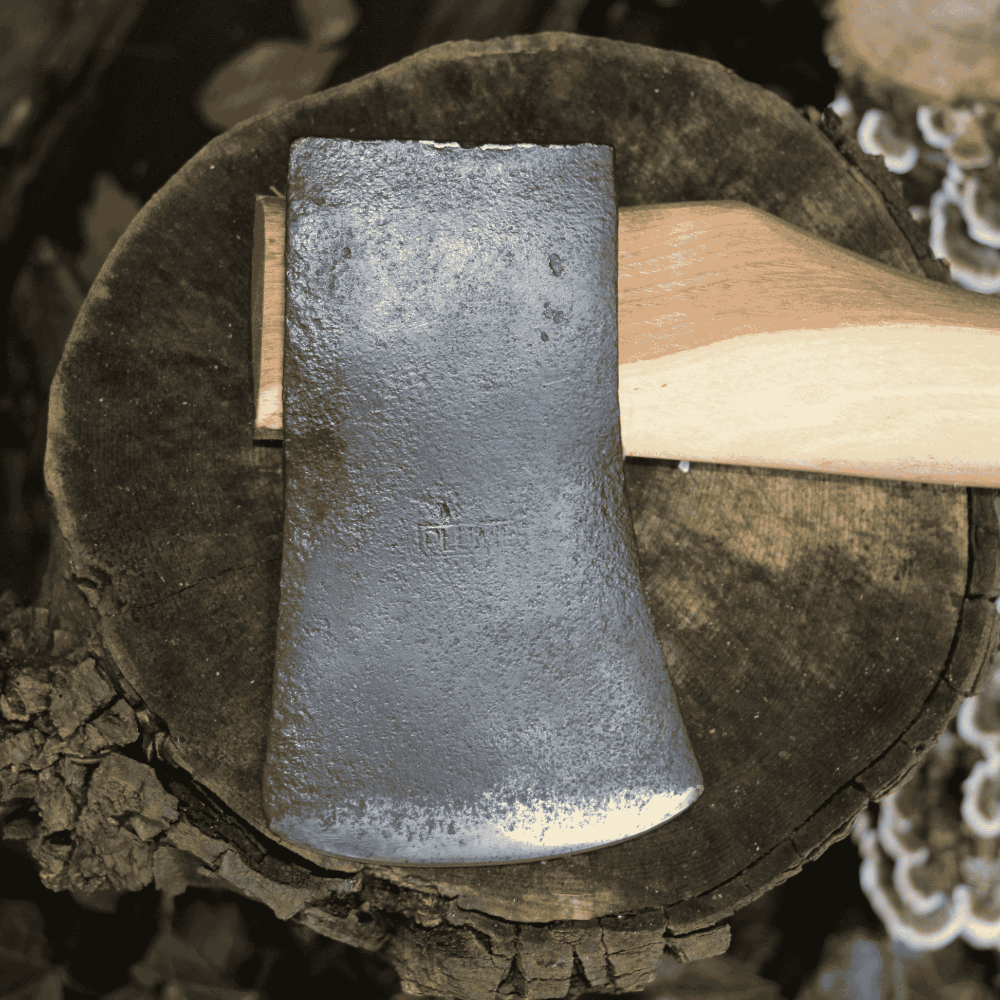 Axe #429